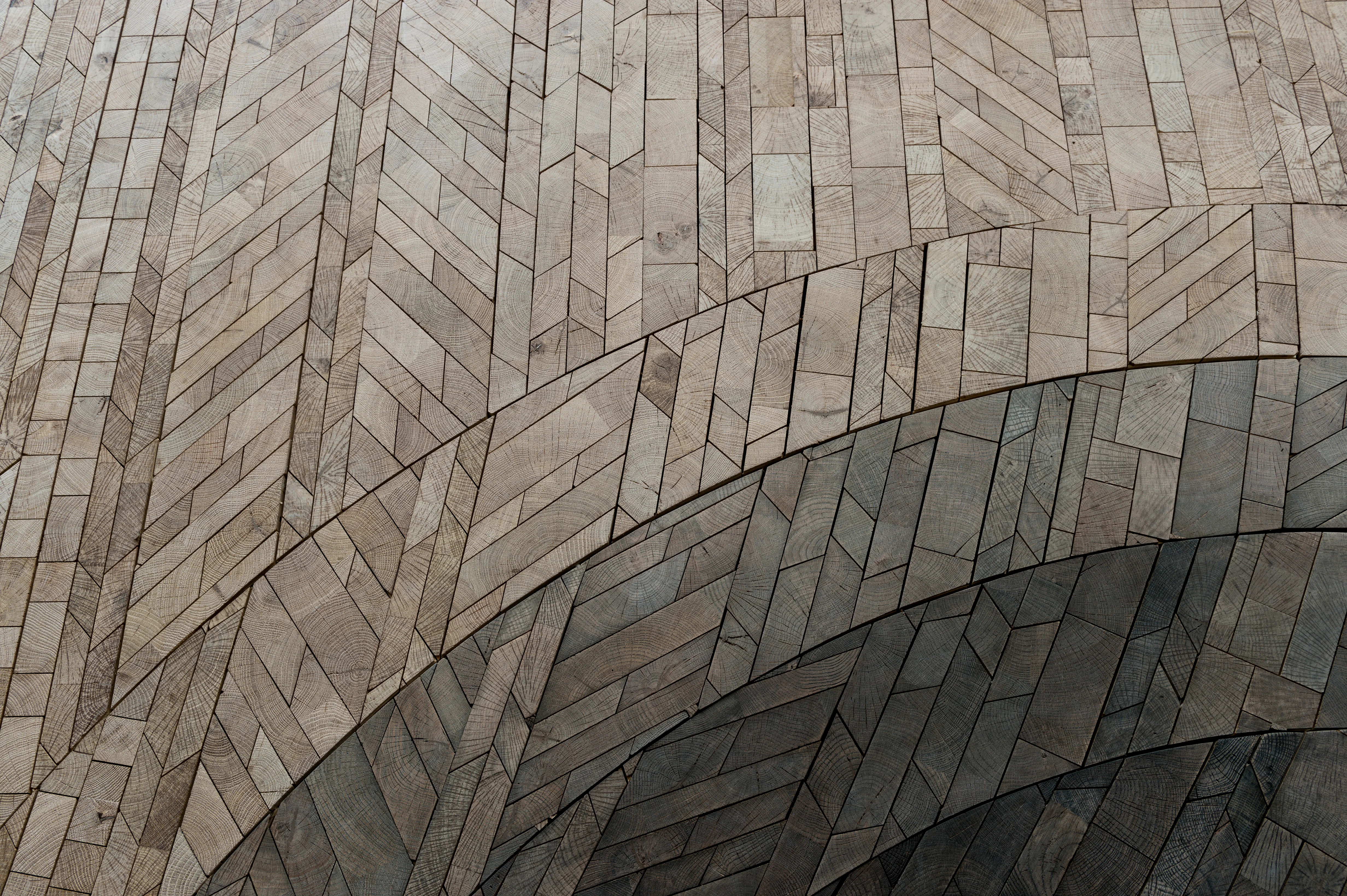 What Makes Wood Sustainable? A Guide to Sustainable Wood Flooring