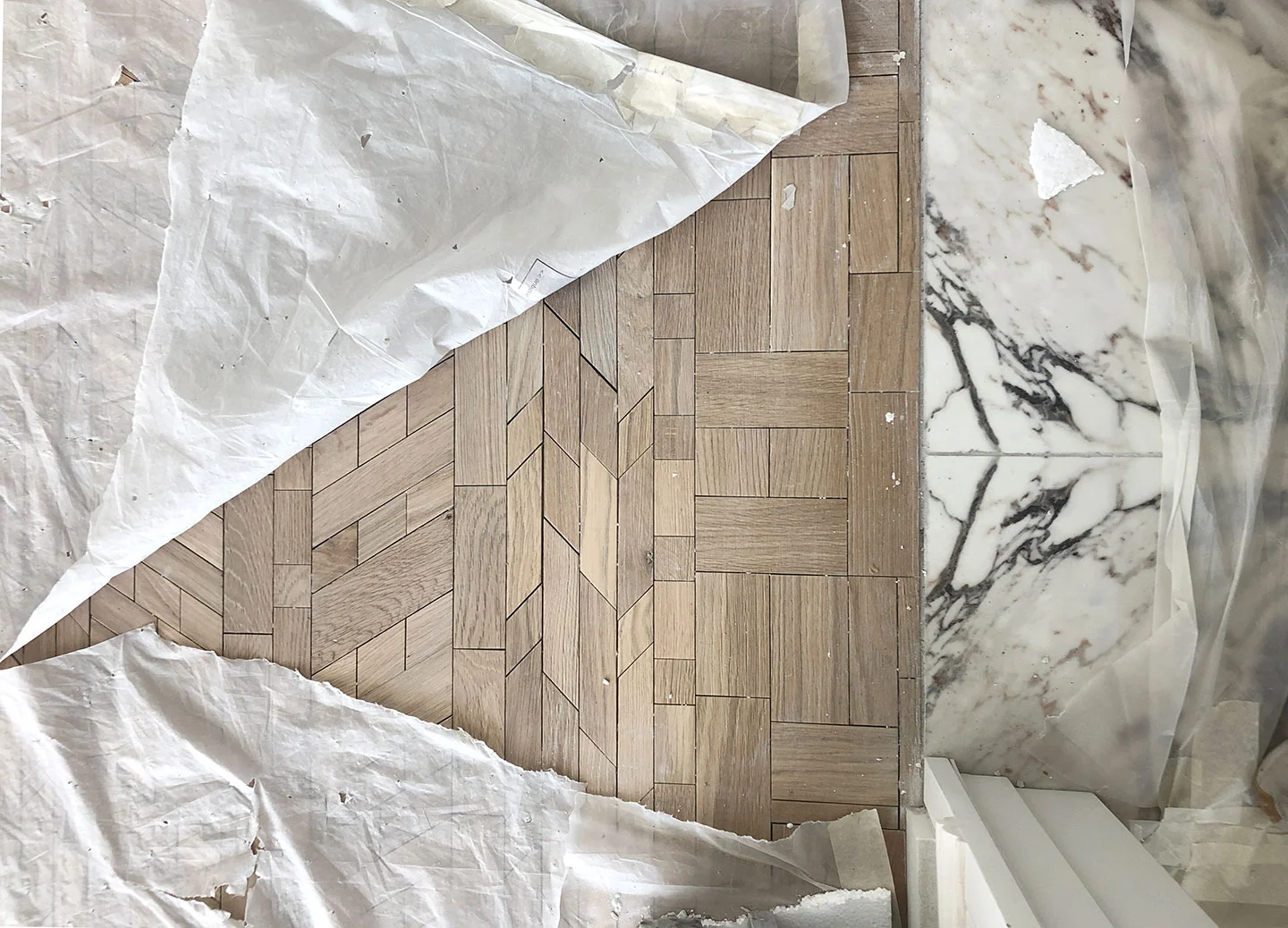 OscarOno paris foret simple collection raphael navot virginie renaut