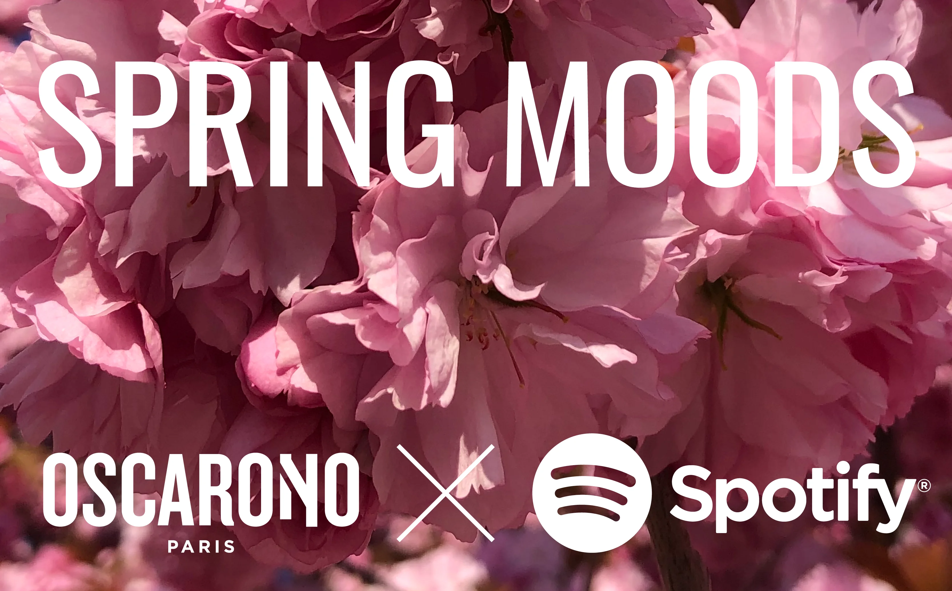 Spring Moods