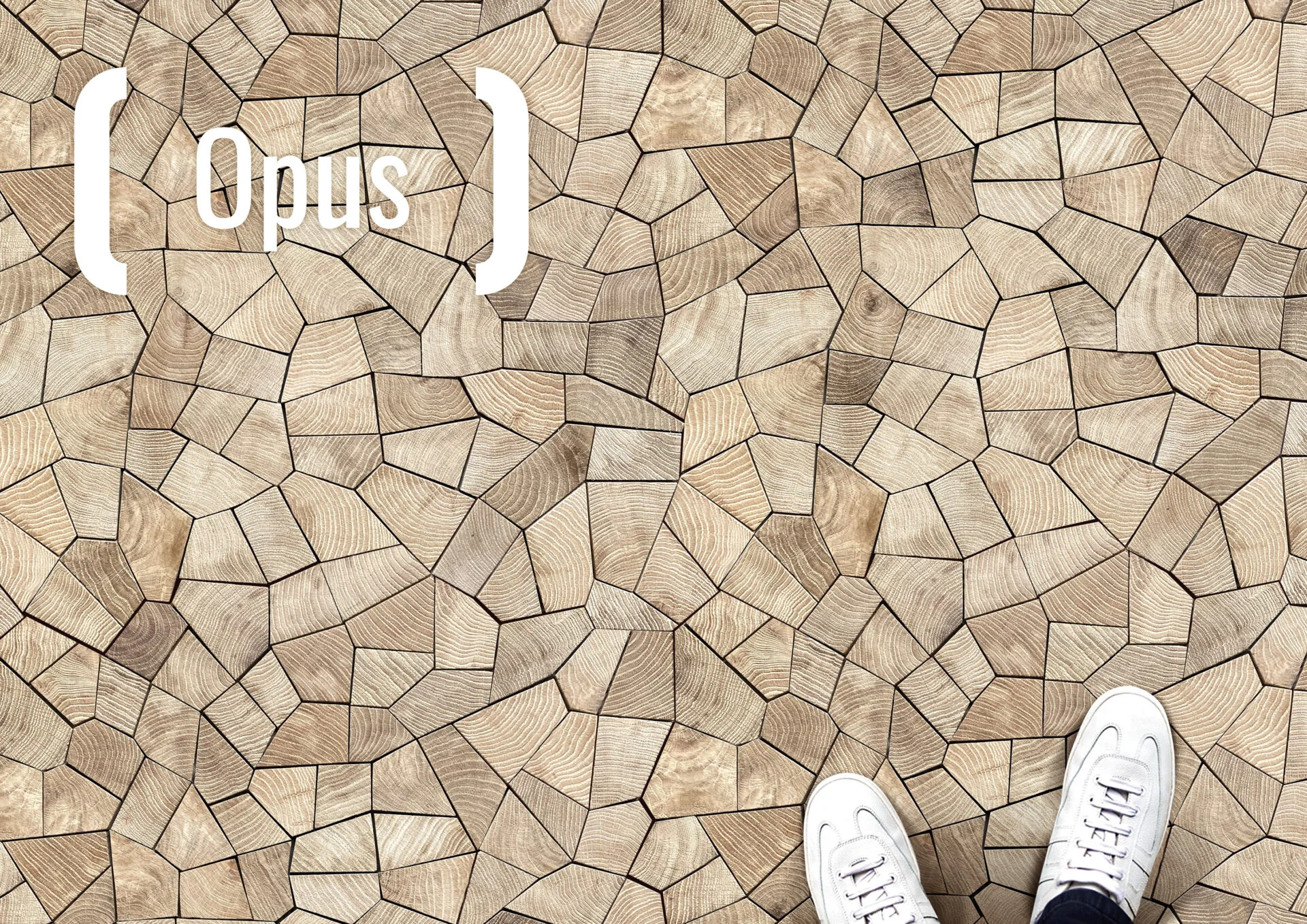 Get Inspired | Opus Launch