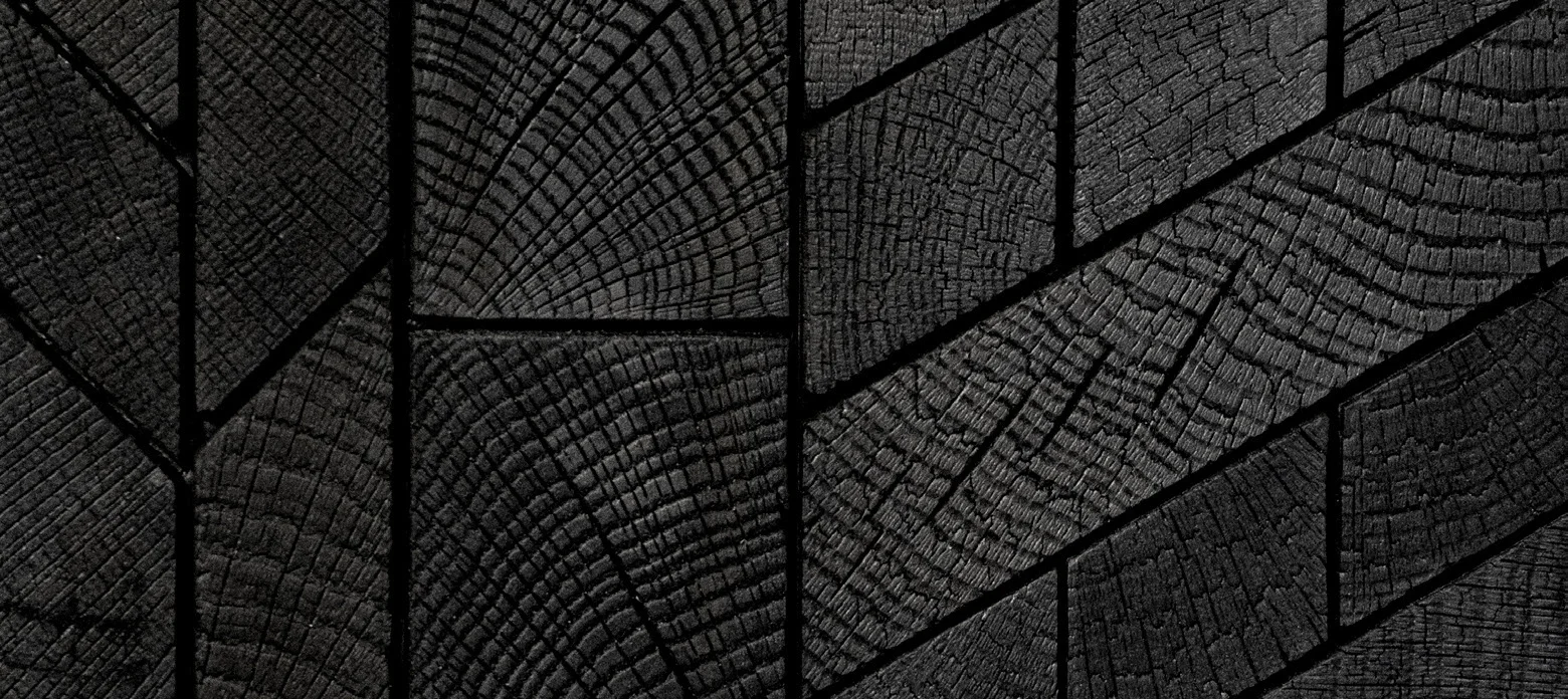 Shou-Sugi-Ban